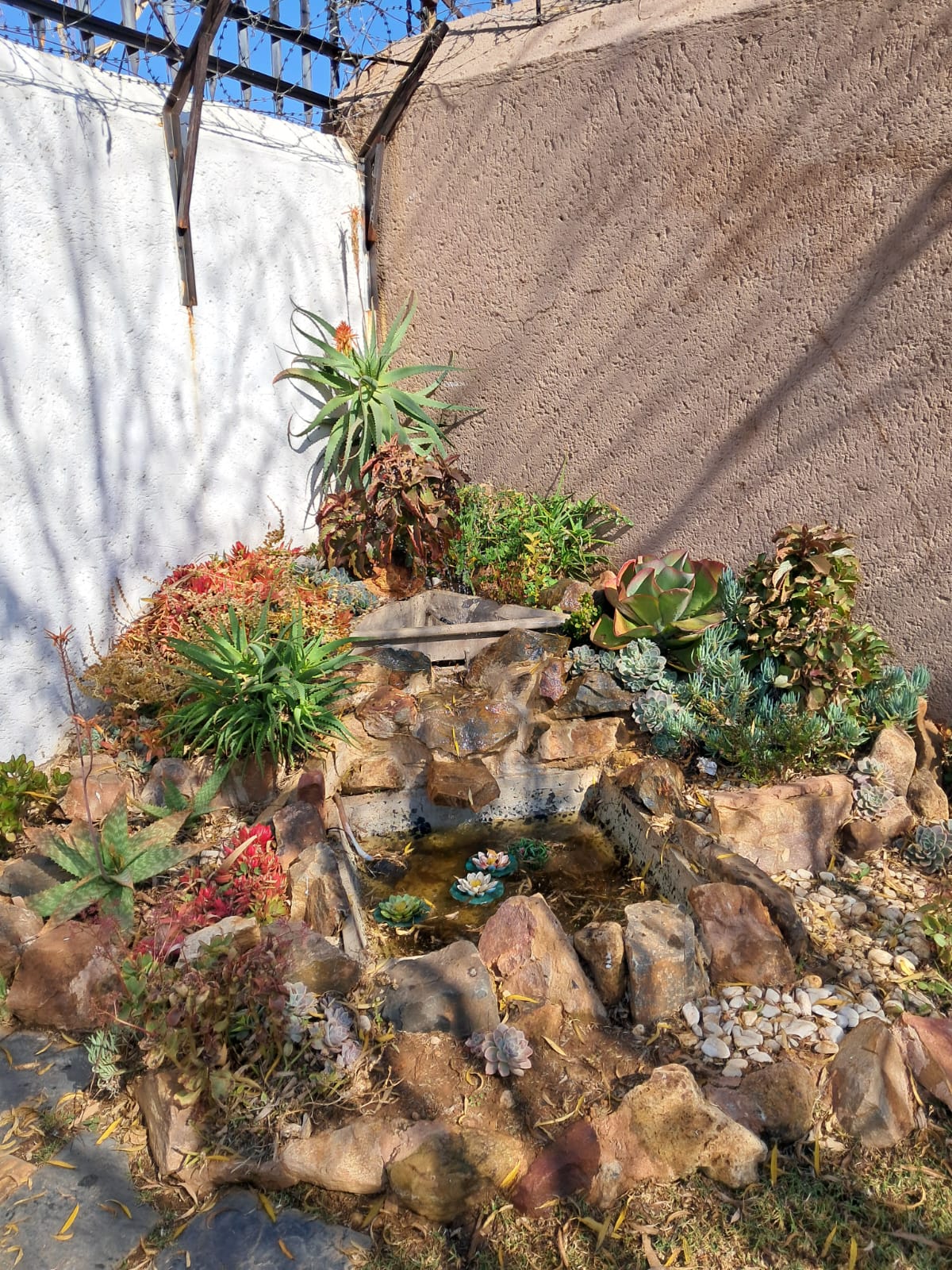 WhatsApp Image 2024-06-22 at 17.38.02_11ba20a0