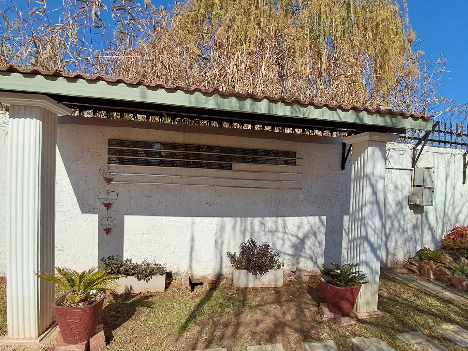 WhatsApp Image 2024-06-22 at 17.38.04_40ef203b