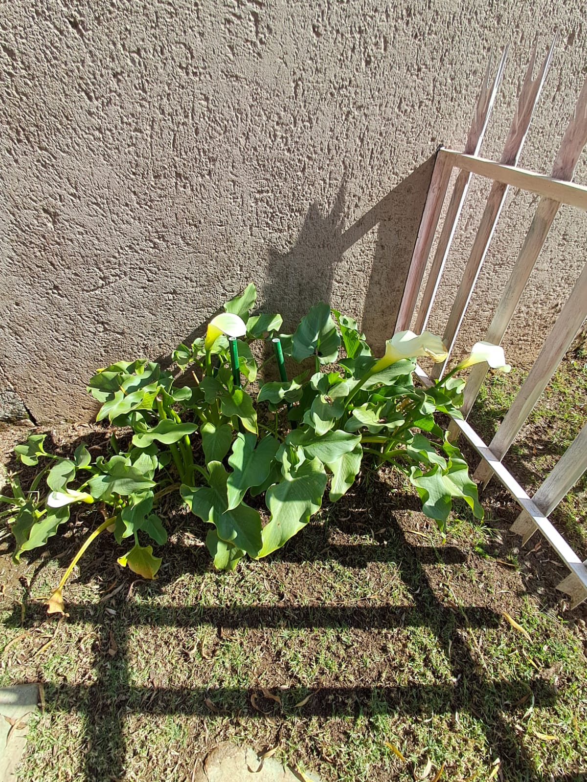 WhatsApp Image 2024-06-22 at 17.38.04_cb8f4fe7